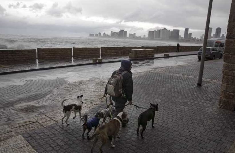 Stormy weather in Tel Aviv [File] (photo credit: REUTERS)