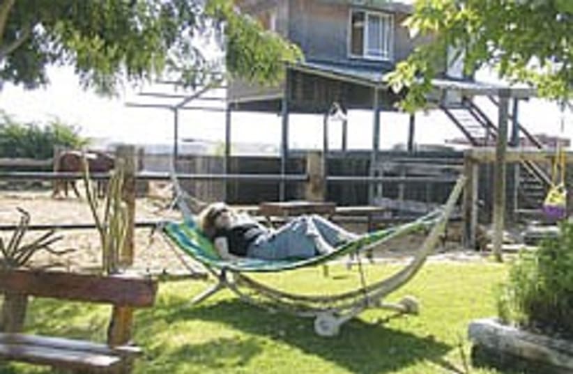 hammock in south 248.88 (photo credit: Ricky Ben-David)