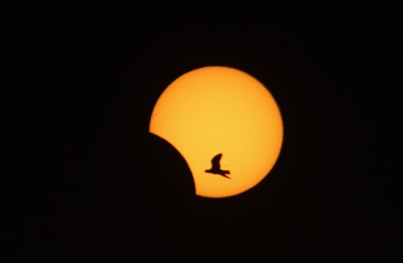 A bird flies in front of a partial solar eclipse [Illustrative] (photo credit: REUTERS)