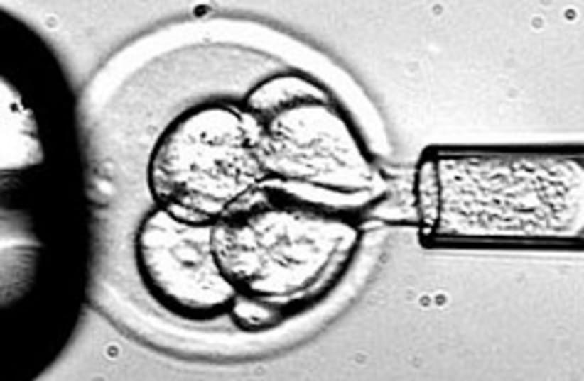 fetal stem cells 248.88 (photo credit: Courtesy)