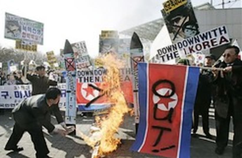 korea rally burning flag 248 88 ap (photo credit: )