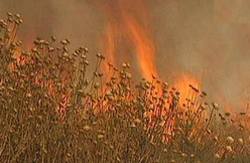 wild fire 248 88 (photo credit: channel 2)