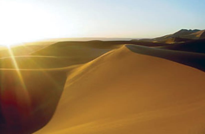 desert (photo credit: DR)