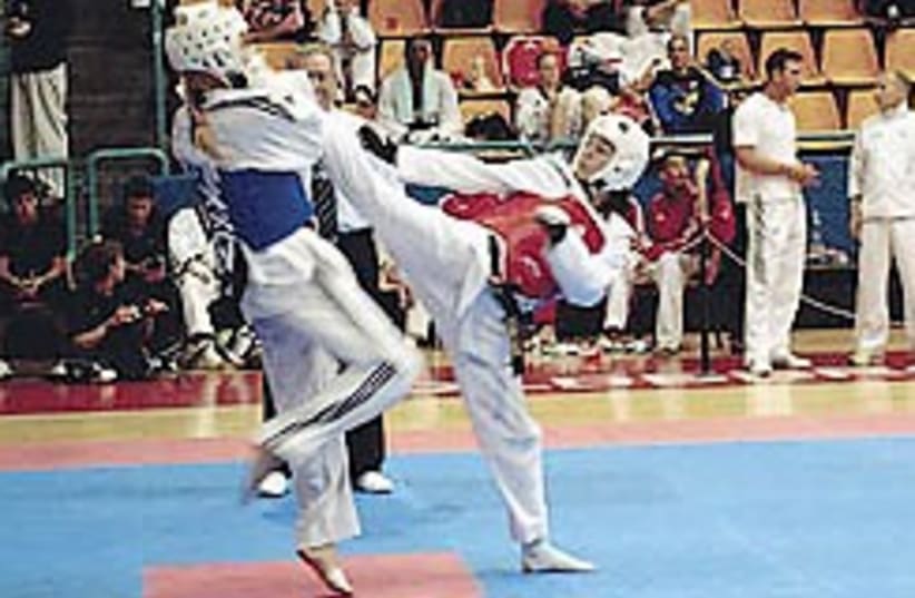 Taekwondo Gatterer 248.88 (photo credit: Tali Minsberg )