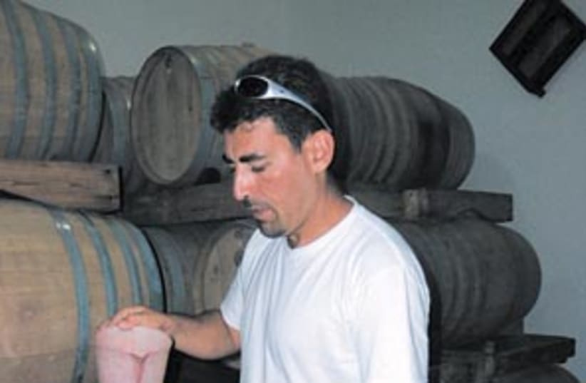 wine barrels 88 298 (photo credit: Ofer Zemach)