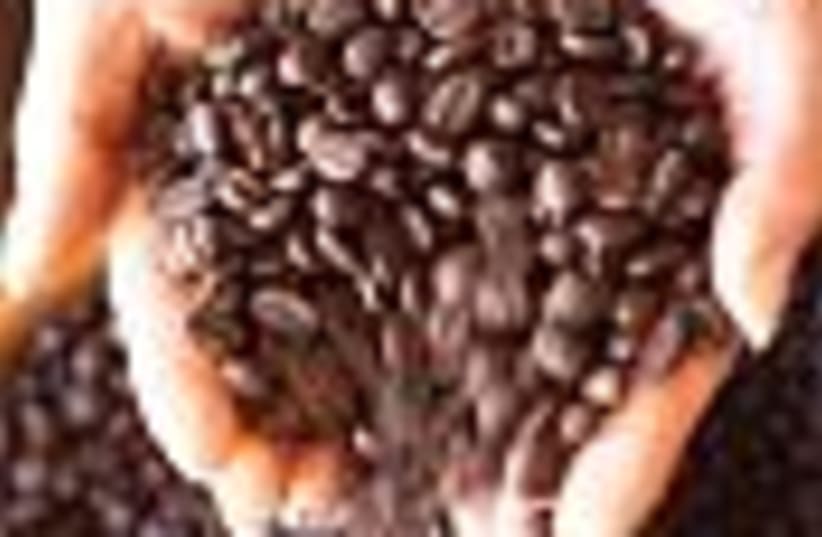 coffee beans hand 88 cou (photo credit: )