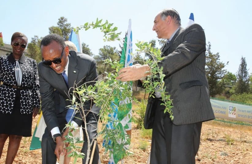 RWANDAN PRESIDENT Paul Kagame plants a tree at the Keren Kayemet Le’Israel –Jewish National Fund (KKL-JNF) Grove of Nations in Jerusalem (photo credit: YOSSI ZAMIR)