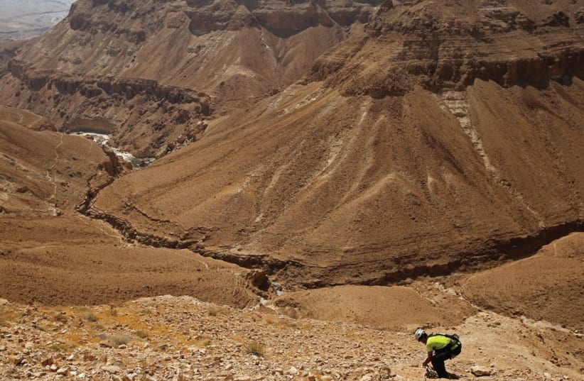 A MAN stands along a mountain range overlooking the Dead Sea. (photo credit: Courtesy)