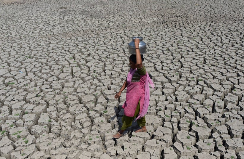 Indian woman carries water in a metal pot on her head (photo credit: SAM PANTHAKY / AFP)