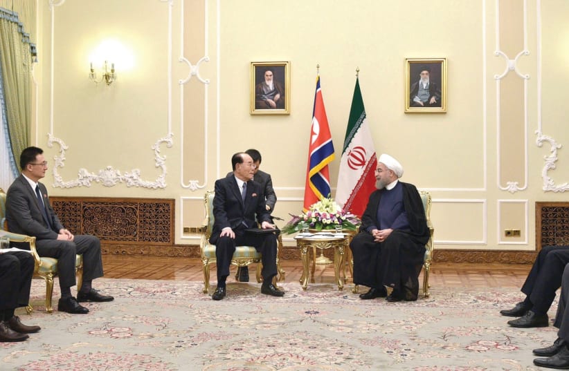 Iranian President Hassan Rouhani meets with Kim Yong-Nam, the president of North Korean's Presidium of the Supreme People's Assembly  (photo credit: KCNA/ REUTERS)