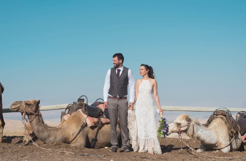 Shani and Ran Maaman enjoy the company of camels at their wedding in the Judean Desert, May 11, 2017. (photo credit: DANA BAR-ON PHOTOGRAPHY)