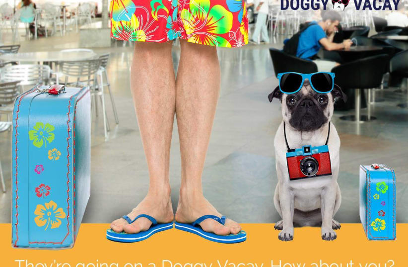 Vibe Israel promotional poster for dog vacation contest (photo credit: Courtesy)
