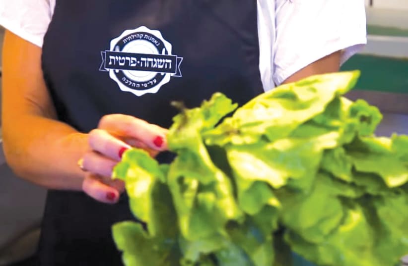 Inspectors from the Hashgacha Pratit organization examine lettuce for insects at a Jerusalem restaurant. (photo credit: Courtesy)