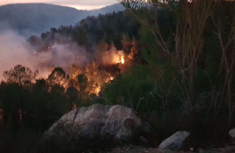 Wildfires in the Jerusalem Hills (photo credit: KKL-JNF)