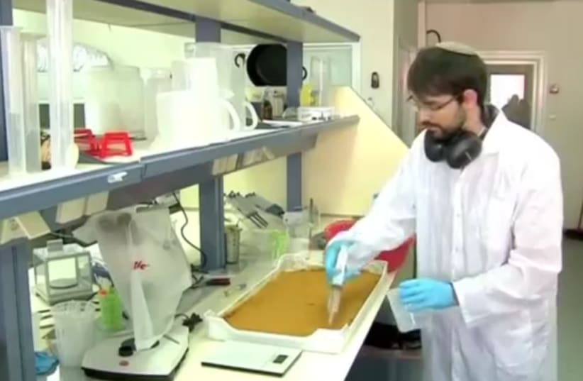 An Israeli scientist prepares food from fruit fly larvae (photo credit: screenshot)