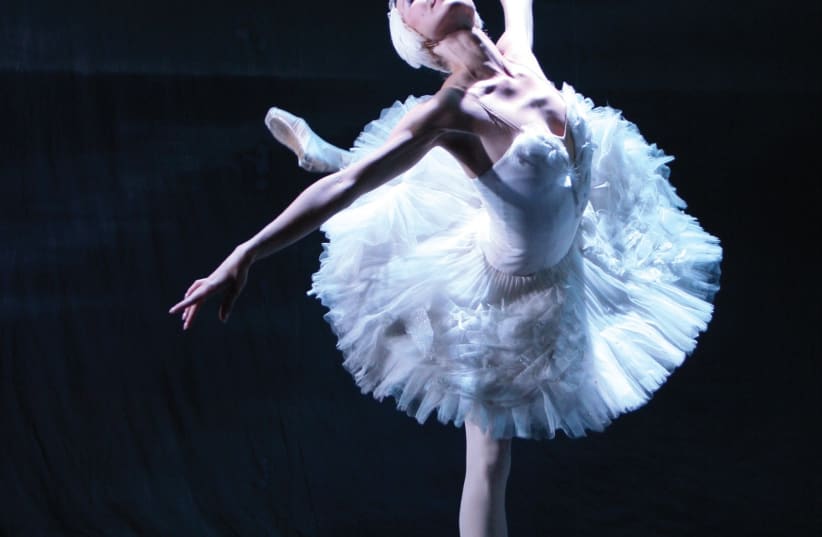 Russian Ballet Dancer  (photo credit: M.LOGVINOV)