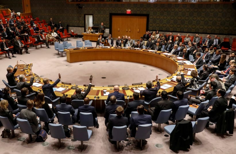 The United Nations Security Council votes, November 17, 2017 (photo credit: REUTERS)