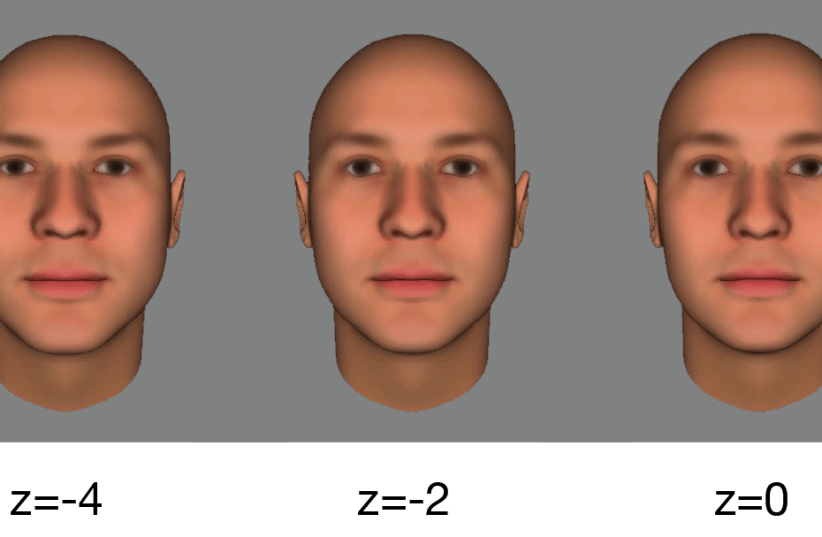 Visualization of changing facial dimensions. (photo credit: HEBREW UNIVERSITY)