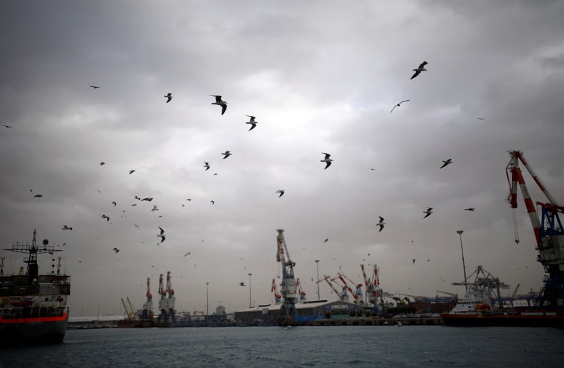 A general view shows seagulls in Ashdod port as a storm approaches Israel's shores January 4, 2018. (photo credit: REUTERS/AMIR COHEN)