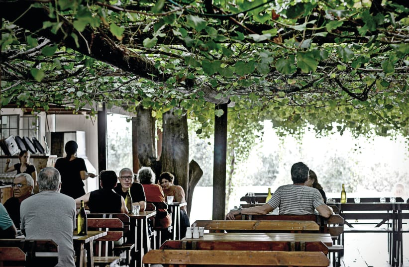 THE TISHBI Restaurant where ‘Each man shall sit under his  g tree and vine' (photo credit: RAN BIRAN)