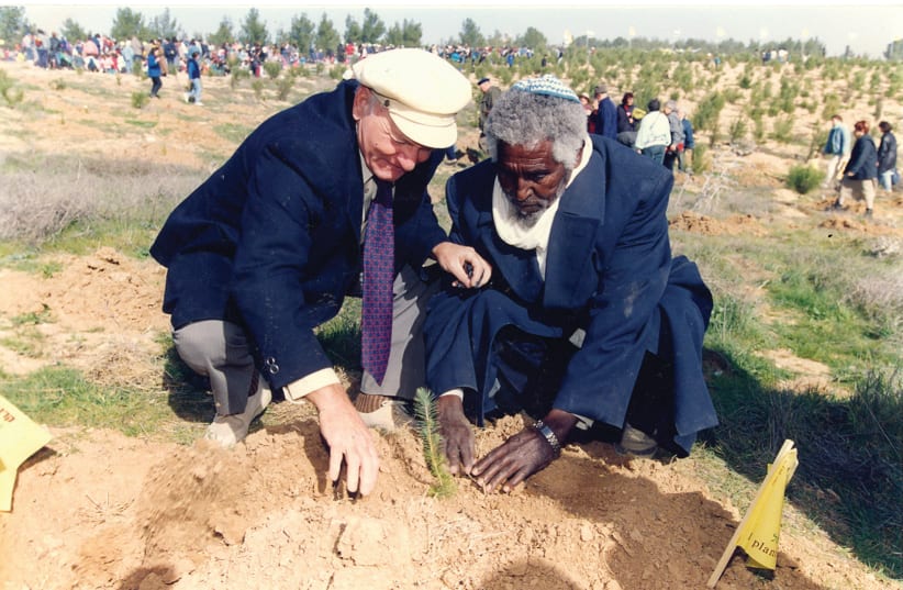Recent immigrants celebrate Tu Bishvat by planting trees in Yatir Forest near Arad in the 1990s (photo credit: JOE MALCOLM)