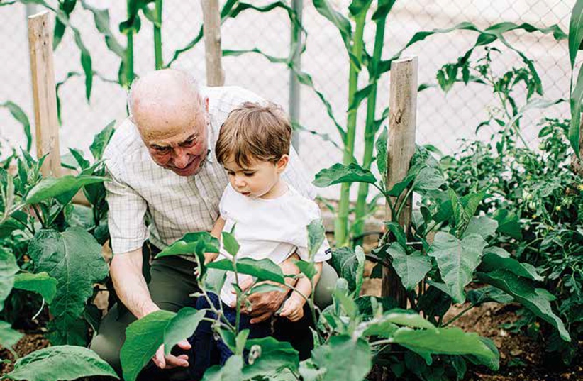 A man and his grandson visit a JNF nursery in Israel. (photo credit: JNF-USA)