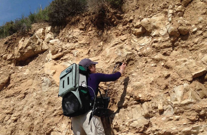 Dr. Lonia Friedlander doing research in the field. (photo credit: Courtesy)