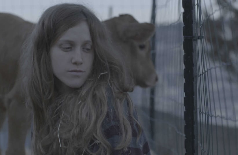 A scene from "Red Cow" (photo credit: COURTESY OF ISRAEL FILM FUND)