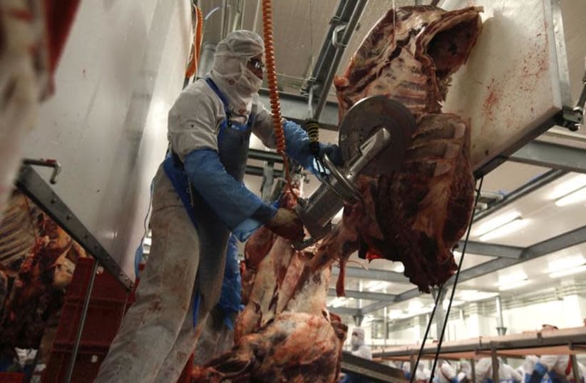 A slaughterer cuts beef carcasses into pieces in the Biernacki Meat Plant slaughterhouse in Golina near Jarocin, western Poland July 17, 2013. (photo credit: KACPER PEMPEL/REUTERS)