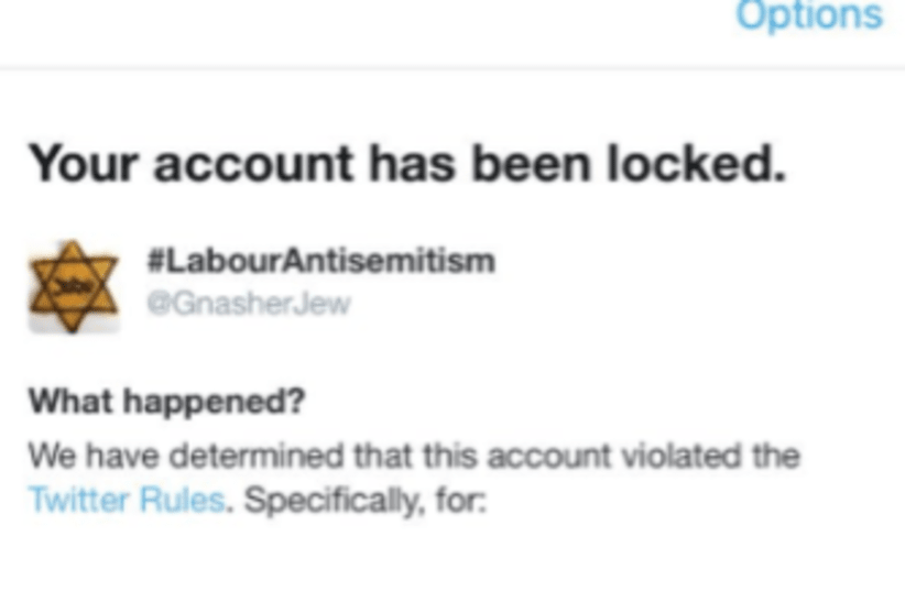 The locked Twitter account of the user GnasherJew. (photo credit: SCREENSHOT COURTESY OF @GNASHERJEW)