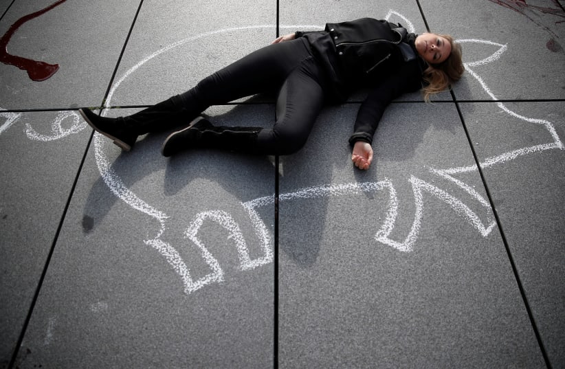A supporter of People for the Ethical Treatment of Animals (PETA) lies on the pavement next to the Centre Pompidou modern art museum, also known as Beaubourg, to raise awareness on World Vegan Day, in Paris, France, November 1, 2017. (photo credit: REUTERS)