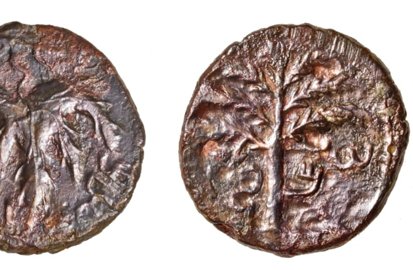 Coins from Bar Kokhba era discovered by acheological teams in the Qibya cave 30 kilometers northwest of Ramallah as part of the "Southern Samaria Survey" project. (photo credit: COGAT SPOKESMAN)