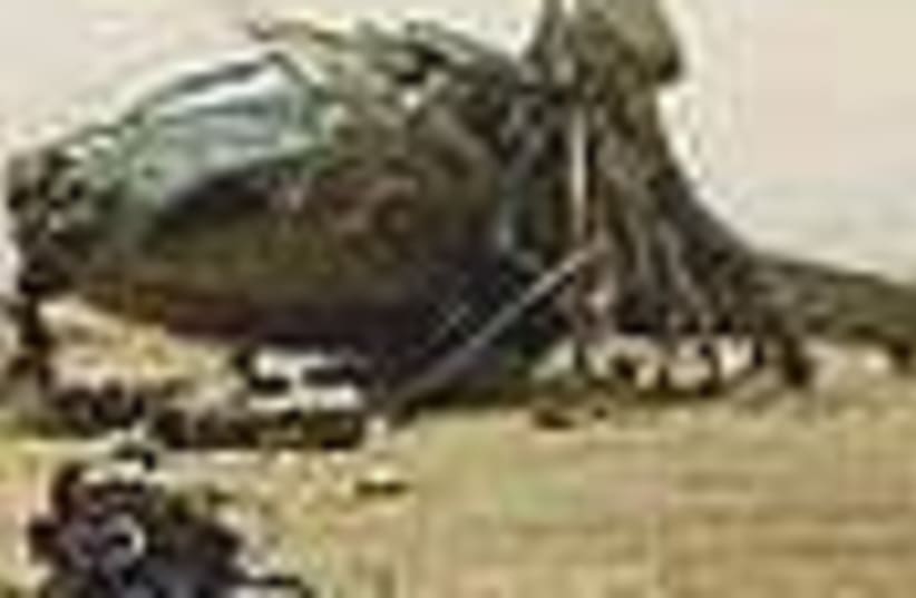 downed helicopter 88 (photo credit: )