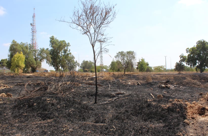Agricultural land burnt by kites launched from Gaza (photo credit: ERIC NARROW)