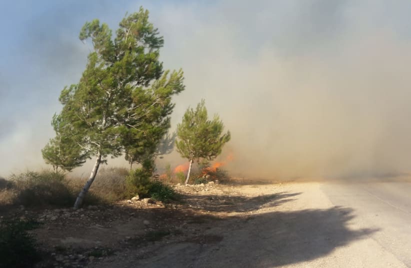 Fires rage in southern Israel as a result of incendiary kites and balloons launched from the Gaza Strip (photo credit: KKL-JNF)