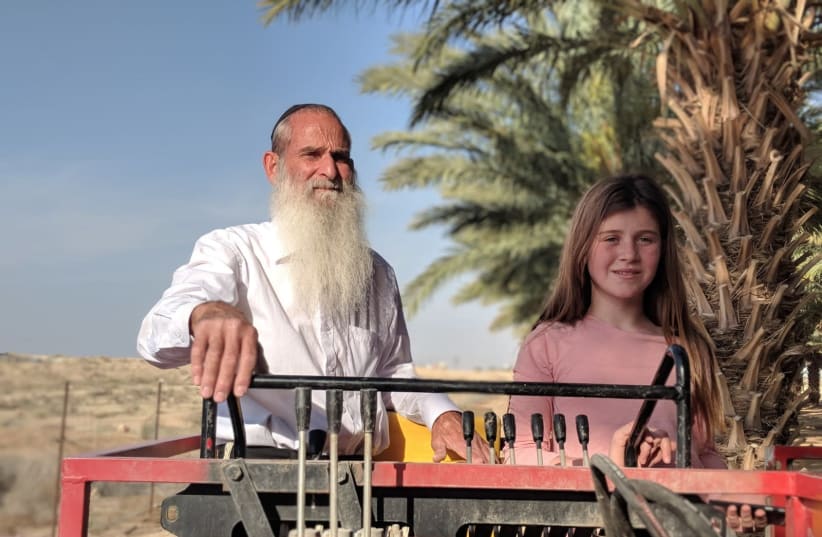 Yehoshua Meshulami and one of his children working on the dates orchard (photo credit: Courtesy)