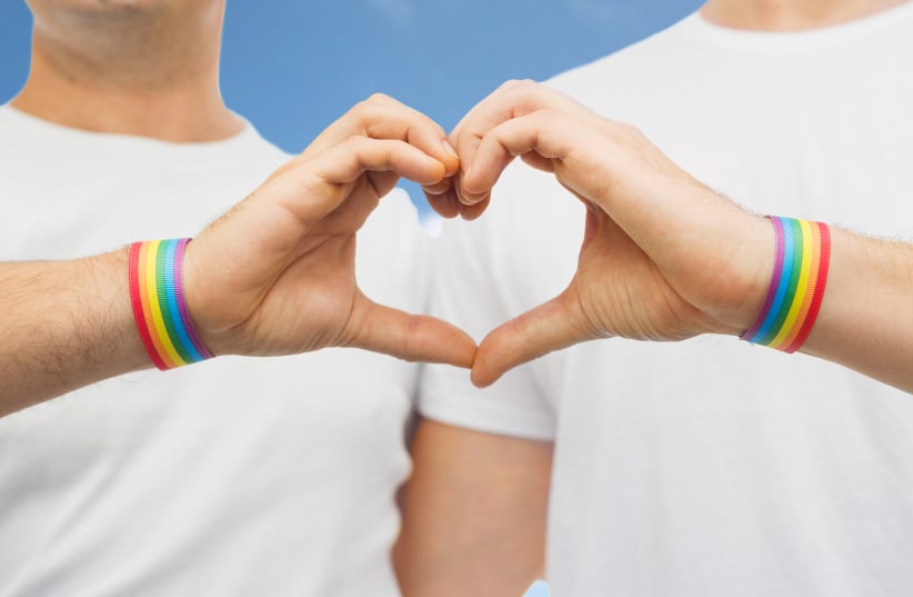 Gay couple celebrates pride [illustrative] (photo credit: INGIMAGE)