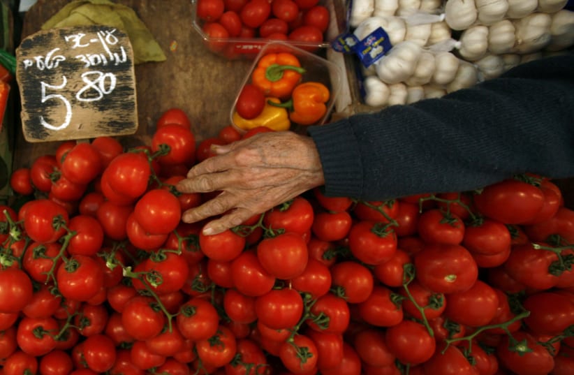 A vendor arranges tomatoes on his stand at the Mahne Yehuda market in Jerusalem. Rising food and fuel prices in Israel have brought public pressure on Prime Minister Benjamin Netanyahu to announce tax relief measures and the country's biggest trade union is considering a national strike (February 9, (photo credit: BAZ RATNER/REUTERS)