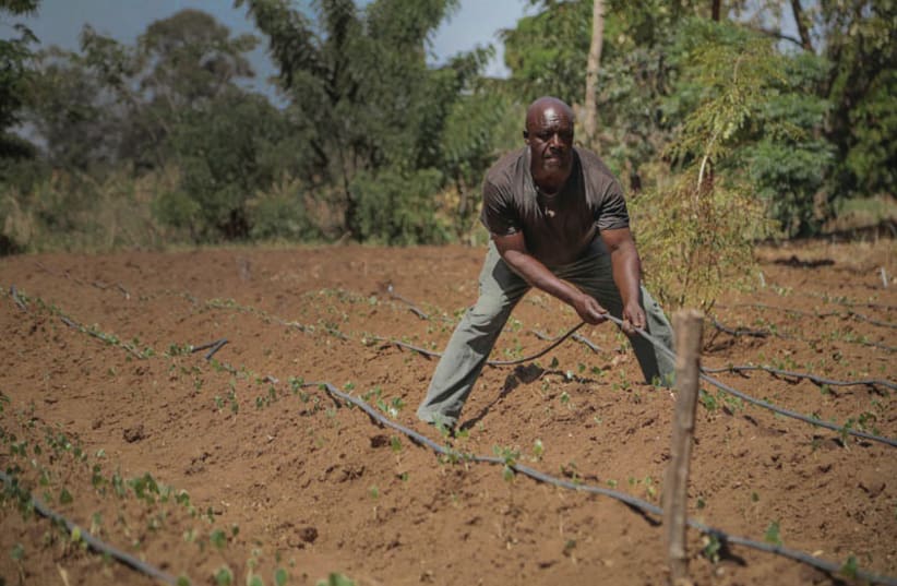 A WORKER plows the field in a still from the Christian Broadcasting documentary To Life: How Israeli Volunteers Are Changing the World (photo credit: INNOVATION:AFRICA)