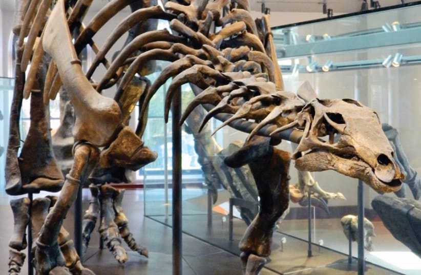 THE AGE of dinosaur bones: Not a scientific delusion. (photo credit: PIXABAY)