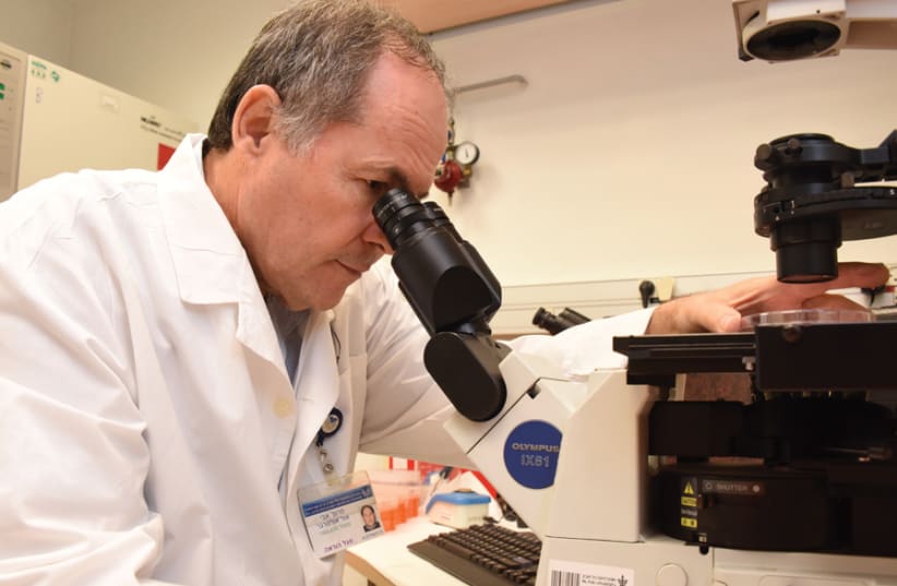 PROF. AVI ORR-URTREGER, director of Ichilov’s Genetics Institute and professor of Pediatrics and Genetics at Tel Aviv University. (photo credit: ICHILOV SPOKESPERSON'S OFFICE)