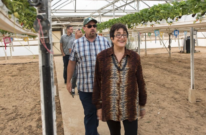 South African food security delegation visits an experimental hothouse in the Negev (photo credit: DENNIS ZINN/KKL-JNF)