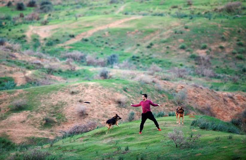 A member of kibbutz plays with his dogs in a field near the border between Israel and Gaza, outside Kibbutz Beeri, Israel November 16, 2018 (photo credit: REUTERS/AMIR COHEN)