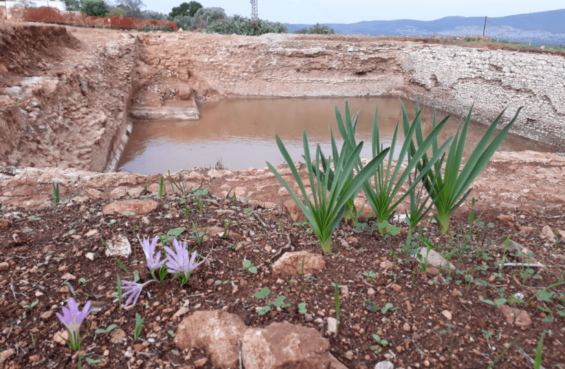 The newly discovered Roman-era pool in Tzipori (photo credit: ISRAEL NATURE AND PARKS AUTHORITY)
