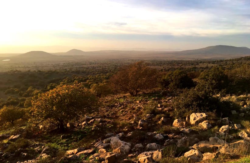 Nature Reserve Tel Hazeka in the Golan Heights  (photo credit: NATURE AND PARKS AUTHORITY)