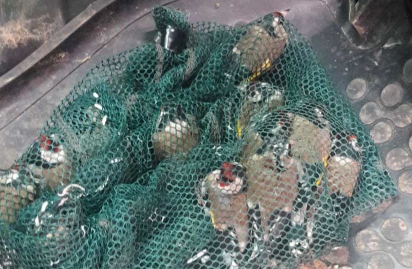 Twelve goldfinches trapped in a net, the bird is protected under Israeli law. (photo credit: POLICE SPOKESPERSON'S UNIT)