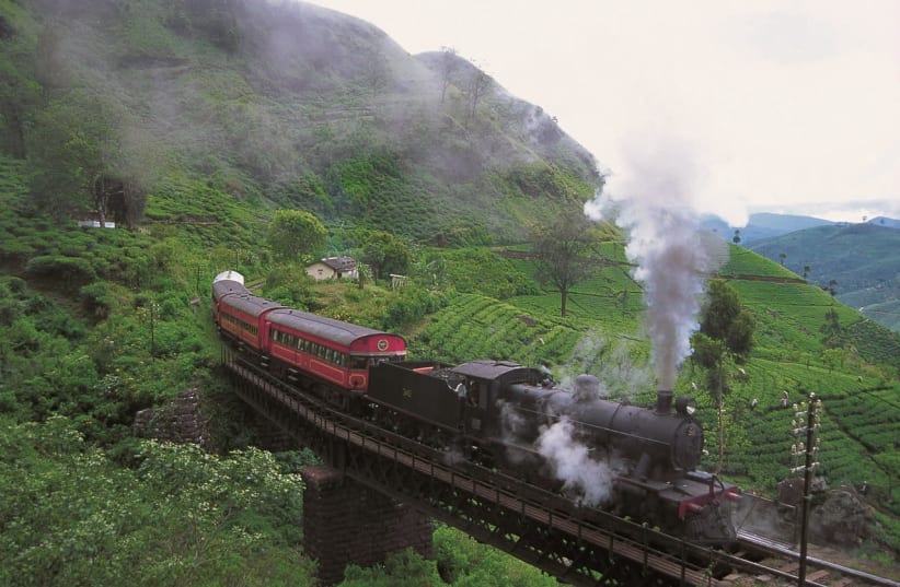 Viceroy Train rolling through Tea Estates  (photo credit: SRI LANKAN MINISTRY OF TOURISM)