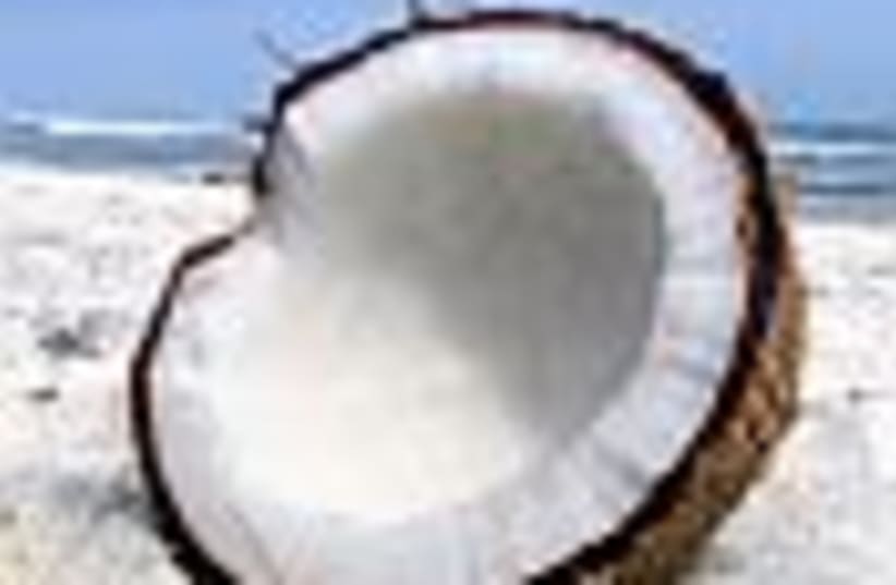 coconut 88 (photo credit: )