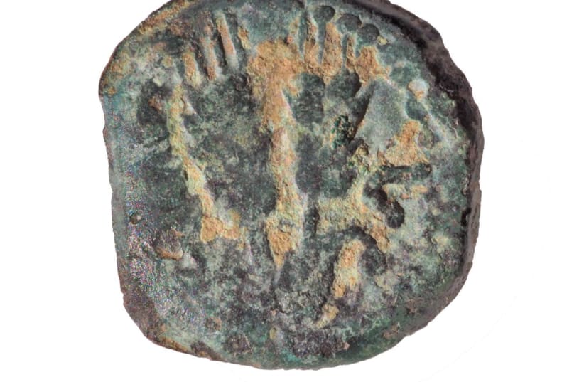 Ancient coin discovered in West Bank, January 27, 2019 (photo credit: COGAT)