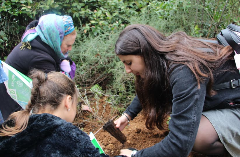 Children with special needs plant trees for Tu Bishvat in Neve Yaakov, thanks to Friends of JNF-KKL Germany (photo credit: YOAV DEVIR KKL-JNF)